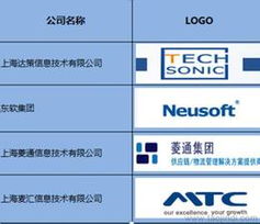 上海行業專用軟件批發與信息安全軟件開發 可靠貨源與供應解析